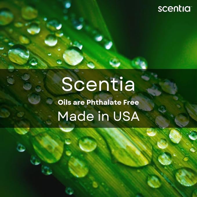 Scentia Gingerbread Bliss Fragrance Oil – 50ml Holiday Diffuser Oil | Warm Christmas Blend with Ginger, Nutmeg, Cinnamon & Vanilla | Perfect Stocking Stuffer, DIY Candles & Soaps