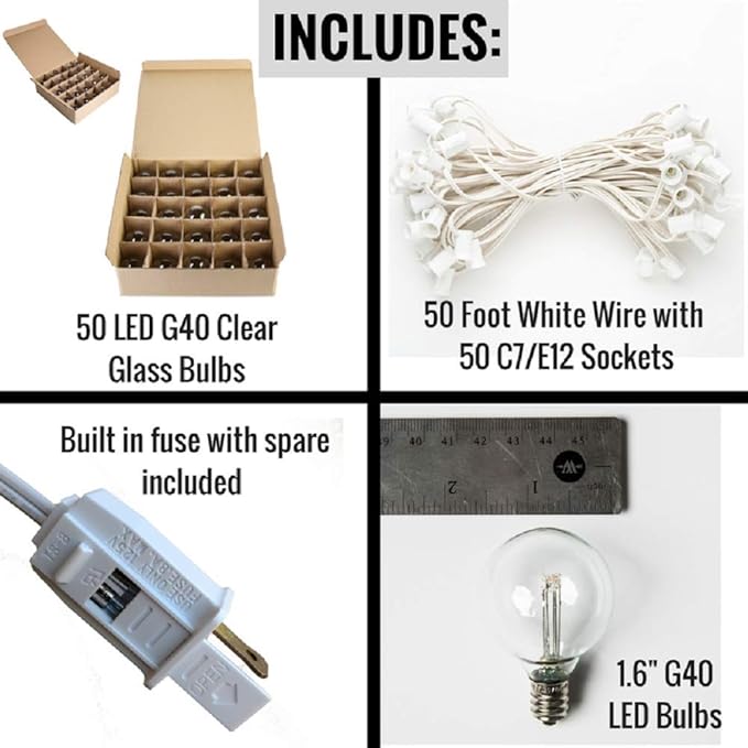 Hometown Evolution, Inc. LED Outdoor Globe String Lights (50 Foot, LED G40 Clear - White Wire - 1.6 Inch .6 Watt Bulbs)