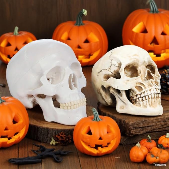 2Pack Human Skulls Head Model,Resin Skulls Decor for Home,Life Size Plastic Skeleton Head, Halloween Statue,Skull Figurine for Decorations Art