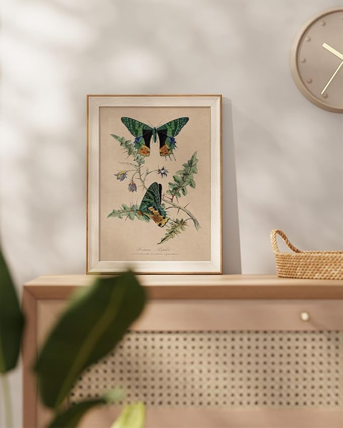 InSimSea Vintage Butterfly Framed Wall Art for Living Room, Elegant Botanical Nature Print, Perfect for Adding Timeless Charm and Beauty to Home Walls and Interior Spaces 16L x 12W