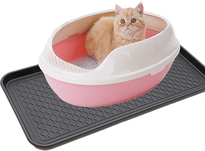 2 Pack Large Multifunctional Tray Mat Washable Indoor or Outdoor Tray Mat for Shoes Boots Plants Pots Paint Tins Pet Bowls Car Storage, 30 x 15 x 1.2 Inches