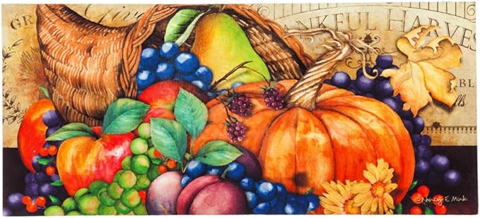 Evergreen Sassafras Fall Christmas Holiday Doormat Insert Bundle & Tray Set of 5, Interchangeable Entrance Door mats Indoor and Outdoor Welcome Mat 30 x 18 Tray Non Slip Backing Low Profile