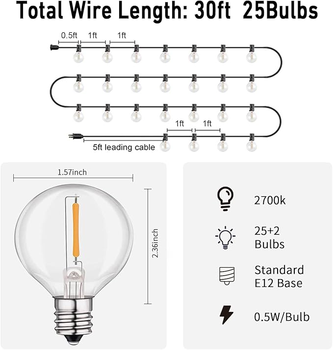 HISTAR LED 30FT Outdoor String Lights with Remote Waterproof Patio Lights 27 Dimmable G40 Bulbs, Outdoor Globe String Lights Decorative Backyard Bistro Garden Balcony Cafe Lights