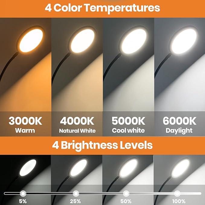 2-in-1 Floor Light Therapy Sun Lamp with Remote – Standing Daylight Lamp with 4 Brightness Levels, 4 Color Temperatures, Timers & Memory, Flexible Gooseneck for Home Office & Reading
