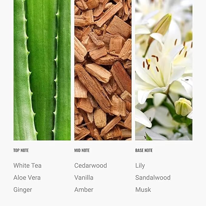 Day Dream Diffuser Oil 120ml β White Tea Essential Oil for Diffusers β Aloe Vera, Ginger, Amber & Cedarwood β Fall Home Luxury Scent β Hotel Collection Inspired Diffuser Oil Refill