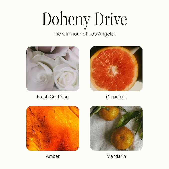Preston Lane The Scented Candle, Luxury Candle with Vegan Soy Wax Blend, Doheny Drive, 7.5 Oz