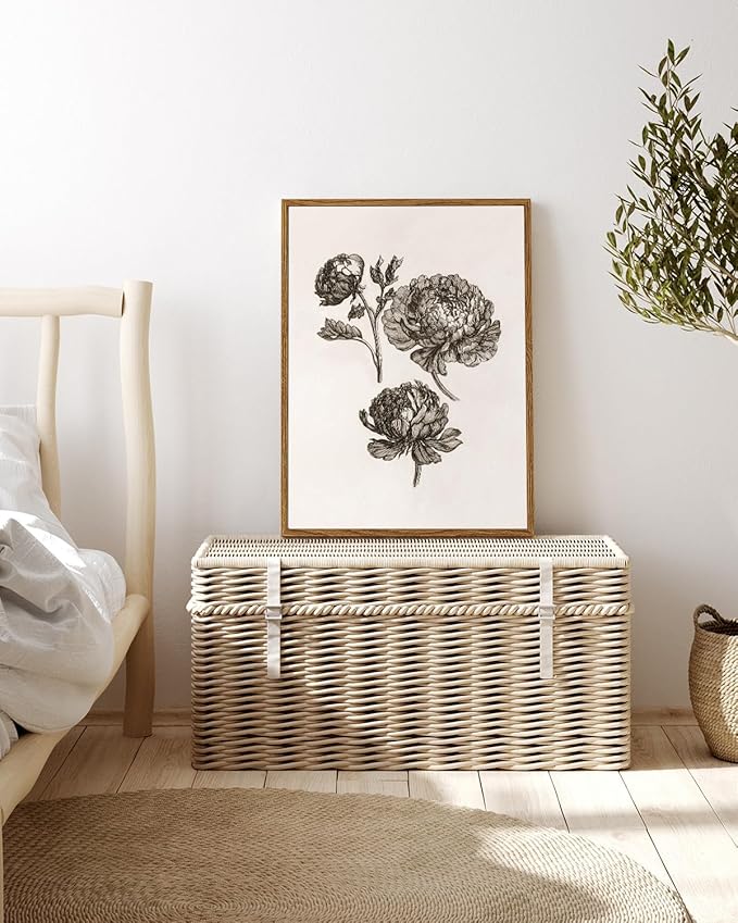 VIYYIEA Vintage Cottagecore Decor Framed Wall Art, Botanical Sketch Wall Art Bedroom Decor, Canvas Print Peony Pictures, Living Room Bedroom Country Decorations, 12x16 inch