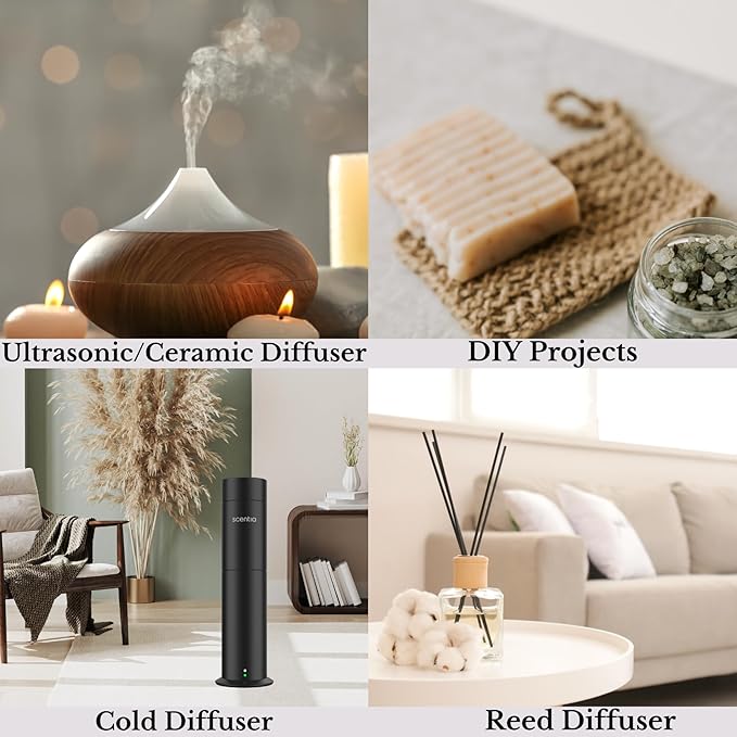 Scentia Hotel Diffuser Oil - 120 ml 4.06 fl oz - Fragrance Oil Blend with White Tea,Natural Home Fragrance and Hotel Scent for Diffusers & Machines -Dream Walk