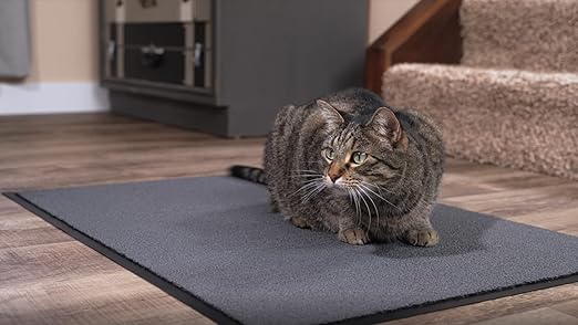 Notrax 141 Ovation™ Entrance Mat, for Home or Office, 3' X 10' Gray