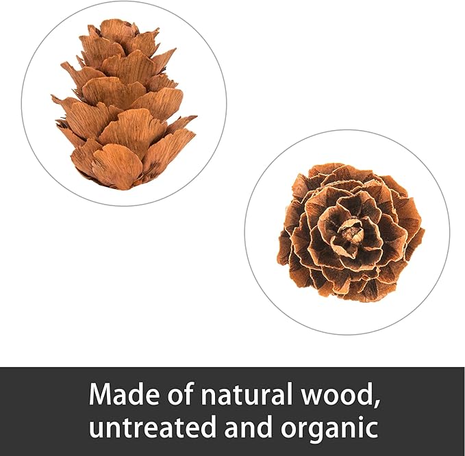 Deloky 800PCS Christmas Natural Mini Pine Cones-Thanksgiving Pinecones Ornaments-Fall Small Pinecones Vase Fillers for DIY Crafts, Fall, Christmas,Wedding Decor