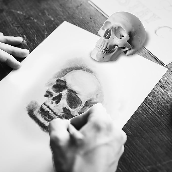 2-Pack Mini Skulls Décor, Human Skull Model Anatomy Skull Model for Studying,Tiny Resin Skulls, Drawing Model Skull Figurine, Small Skull Head for Students,Art Gift