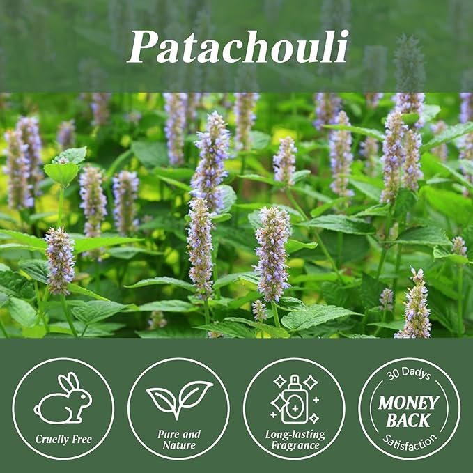 Patachouli Fragrance Oil 3.38FL.OZ - Aromatherapy Essential Oils for Diffusers for Home, Patachouli Scented Oils for Massage, Soap Candle Making Scents - 100ML