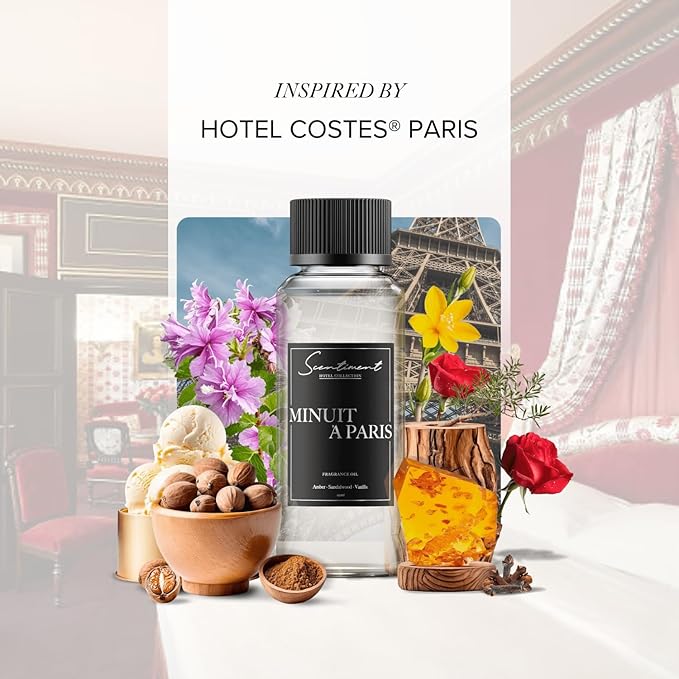 Scentiment Diffuser Oil - Minuit à Paris | Aromatherapy Home Fragrance | Inspired by Hotel Costes® | Luxurious Scent with Notes of Amber, Sandalwood, Vanilla (20 mL)