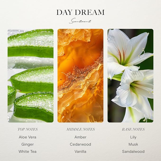 Scentiment Hotel Diffuser Oil Discovery Kit | Inspired by 1 Hotel® Ritz-Carlton® & Luxury Hotel Scents | Aromatherapy Oils with Notes of Cardamom, Tuscan Leather, and Sandalwood (20ml, Top 3 Scents)