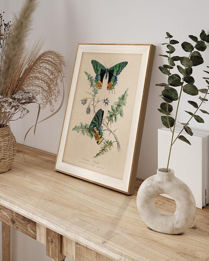 InSimSea Vintage Butterfly Framed Wall Art for Living Room, Elegant Botanical Nature Print, Perfect for Adding Timeless Charm and Beauty to Home Walls and Interior Spaces 16L x 12W