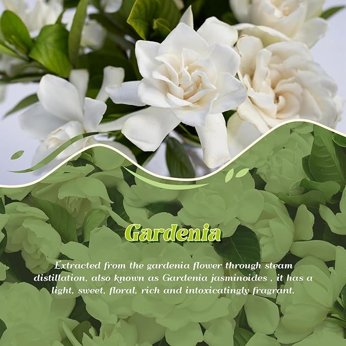 Gardenia Essential Oil 4 Fl Oz (120ml), ARVIDSSON Pure & Natural Gardenia Oil, Aromatherapy Essential Oils for Diffuser, Candle Making, Room Spray Diffuser Oils, Scented Oil Gift for Women