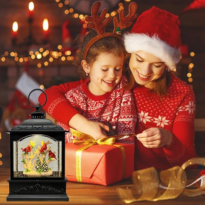 Christmas Snow Globes Lantern with Music & Timer - USB/Battery Operated LED Glittering Globe Lantern, Snow Globe Decoration for Home Holiday Decor (Red Robin)