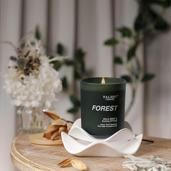 Candles for Home Scented, Natural Soy Wax, Scented Candle Stress Relief and Relaxation, Wild Mint & Eucalyptus, Medium Jar, Ideal for Home and Bedroom Decor