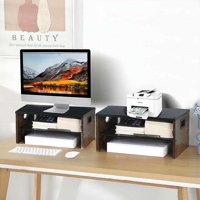 2 Tier Desktop Printer Stand,Multi-Purpose Desk Organizer for Folders,Books,for Fax Machine, Scanner,Home Office