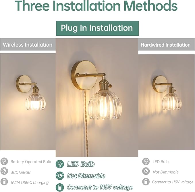 Plug in Wall Sconce, Cute Transparent Tulip Glass Lampshade Wall Light Plugin Corded for Bedside Bedroom Doorway