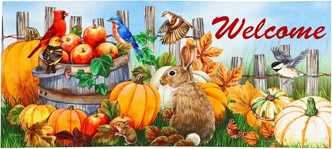 Evergreen Sassafras Fall Christmas Holiday Doormat Insert Bundle & Tray Set of 5, Interchangeable Entrance Door mats Indoor and Outdoor Welcome Mat 30 x 18 Tray Non Slip Backing Low Profile