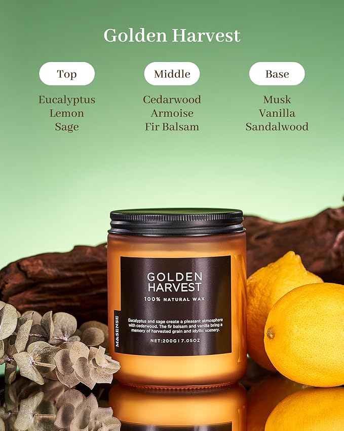 M&SENSE Fall Harvest Highly Scented Candle, All Natural Soy Wax 2 Cotton Wick 7.05oz 50 Hours Slow Burning Candle Gifts for Birthday Holiday, Decorative for Home