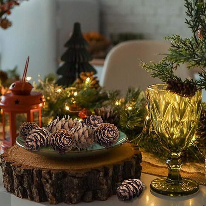 Deloky 250 PCS Christmas Natural Mini Pine Cones-Thanksgiving Pinecones Ornaments for DIY Crafts, Home Decorations,Fall and Christmas,Wedding Decor