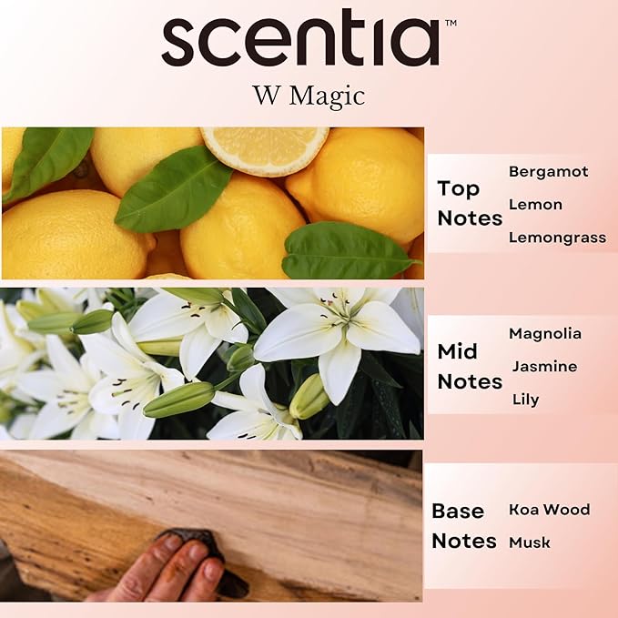 Scentia W Magic Hotel Diffuser Oil Inspired by W Signature Hotel - 20 mL 0.67 fl oz - Aromatherapy Oil for Diffusers, Candle Making & DIY Crafts