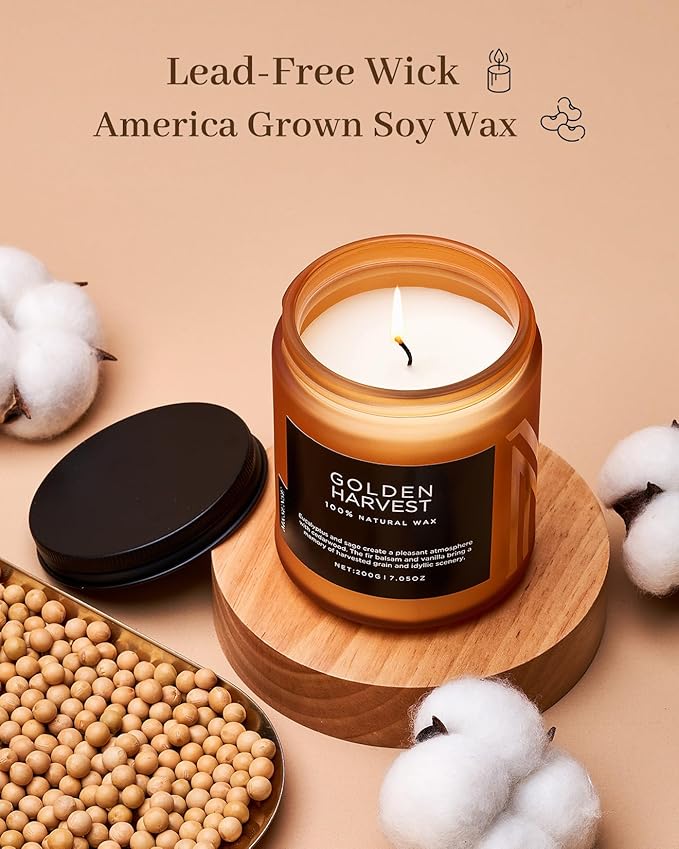 M&SENSE Fall Harvest Highly Scented Candle, All Natural Soy Wax 2 Cotton Wick 7.05oz 50 Hours Slow Burning Candle Gifts for Birthday Holiday, Decorative for Home