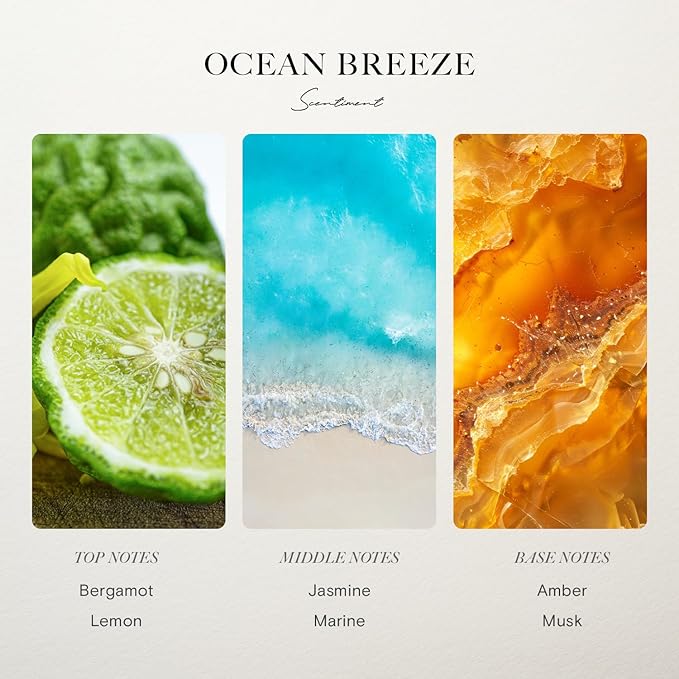 Scentiment Hotel Diffuser Oil Discovery Kit | Inspired by 1 Hotel® Ritz-Carlton® & Luxury Hotel Scents | Aromatherapy Oils with Notes of Cardamom, Tuscan Leather, and Sandalwood (20ml, Top 3 Scents)