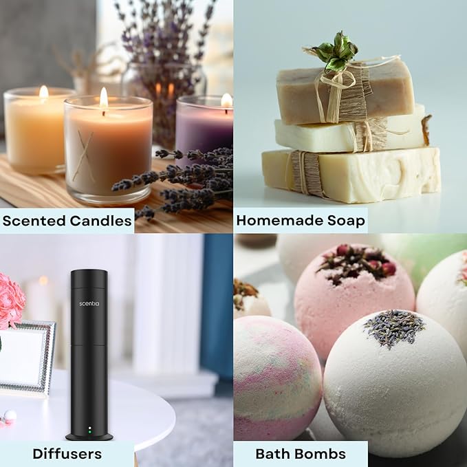 Scentia Gingerbread Bliss Fragrance Oil – 50ml Holiday Diffuser Oil | Warm Christmas Blend with Ginger, Nutmeg, Cinnamon & Vanilla | Perfect Stocking Stuffer, DIY Candles & Soaps