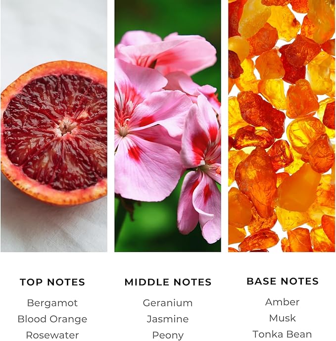 Brilliant Scents French Riviera Fragrance Oil 120ml - Premium Diffuser Oil for Home, Office, Hotels - Long Lasting, Plant-Based, Meets IFRA Standards, USA-Made - Blood Orange, Jasmine, Tonka Bean