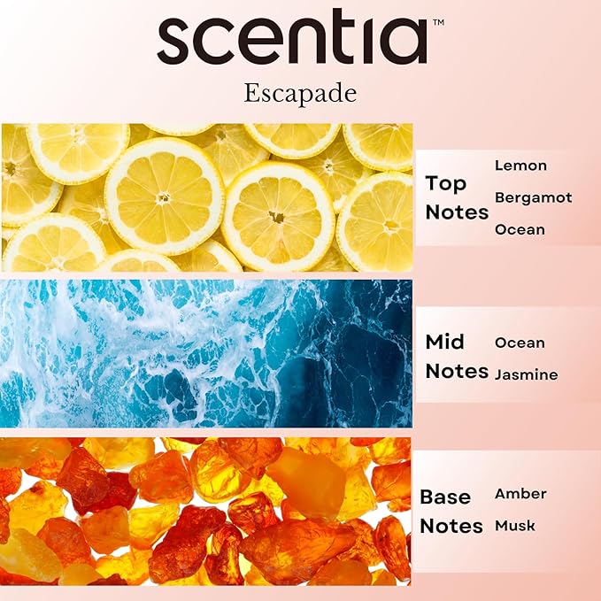 Scentia Hotel Diffuser Oil Inspired by 5-Star Hotel Scent - 20 mL 0.67 fl oz - Aromatherapy Fragrance Oil Inspired by 5 Star Hotel - Escapade