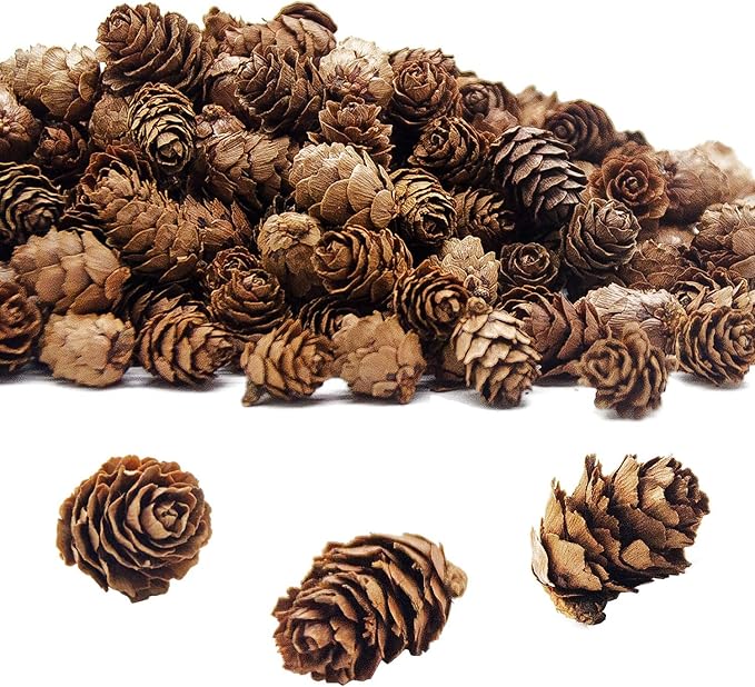 Deloky 400 PCS Christmas Natural Mini Pine Cones- Thanksgiving Pine Cones Ornaments- Fall Small Pinecones Vase Fillers for DIY Crafts, Home Decorations, Fall and Christmas, Wedding Decor