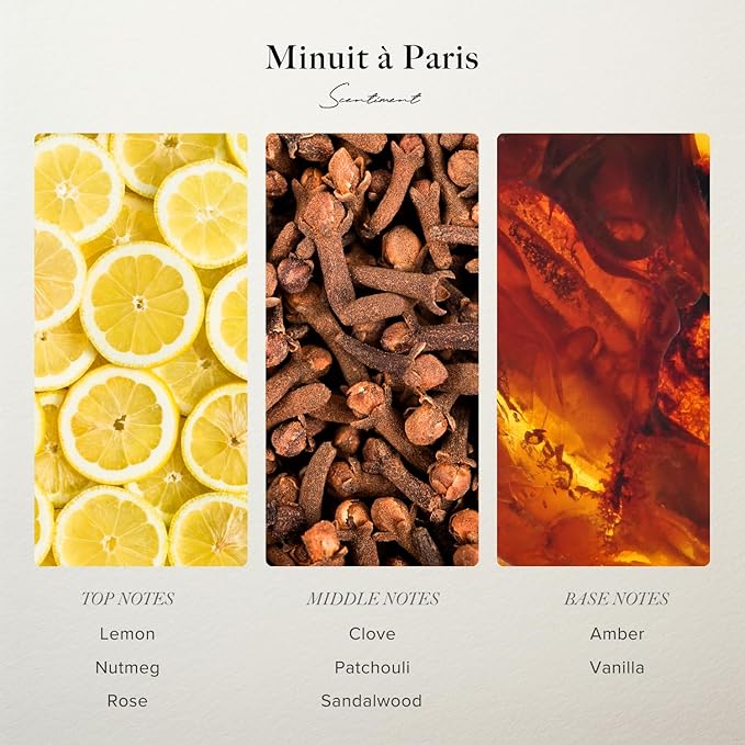 Scentiment Diffuser Oil - Minuit à Paris | Aromatherapy Home Fragrance | Inspired by Hotel Costes® | Luxurious Scent with Notes of Amber, Sandalwood, Vanilla (120 mL)