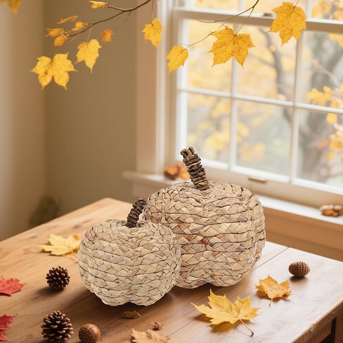 winemana 2 Pack Pumpkin Fall Decor Thanksgiving Decorative Pumpkins for Home Woven Cattail Figurines Farmhouse Autumn Decorations Fall Centerpieces for Table Porch Mantel Indoor (Beige)