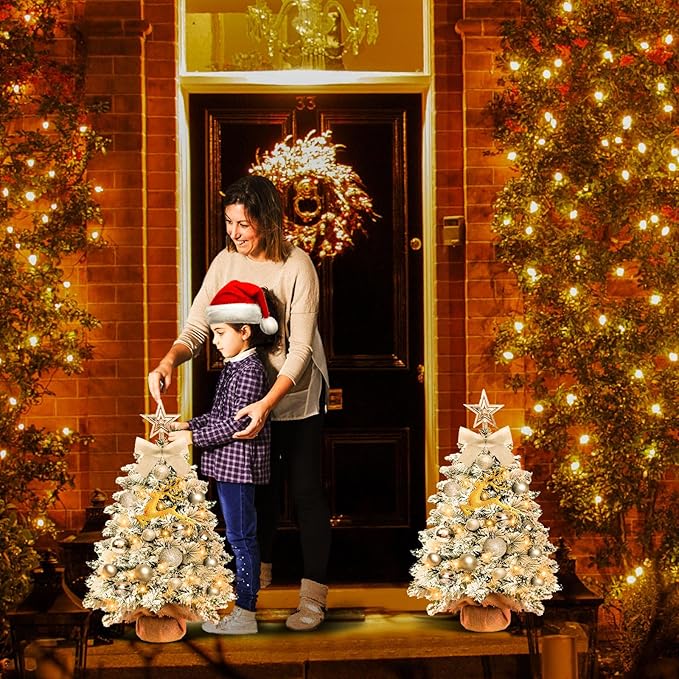 Mini Flocked Christmas Tree with Lights, 2ft Small Tabletop Tree with 24pcs DIY Decorations, LED Lights for Indoor Holiday Decor