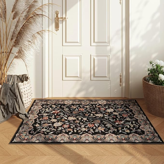 Rugcomf 2'x3' Entryway Rug - Paisley Pattern, Door Mat Indoor Entrance, Floral Vintage, Machine Washable, Non-Slip Low Pile Area Rug for Kitchen, Front Door, Kids Room - Black