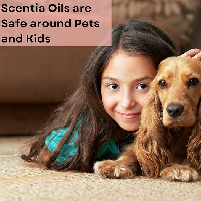 Scentia Pine Frost Essential Oil – 50ml Christmas Diffuser Oil | Crisp Winter Blend with Fir, Pine, Citrus & Vanilla | Holiday Aromatherapy for Gifting, Candles & DIY Soaps