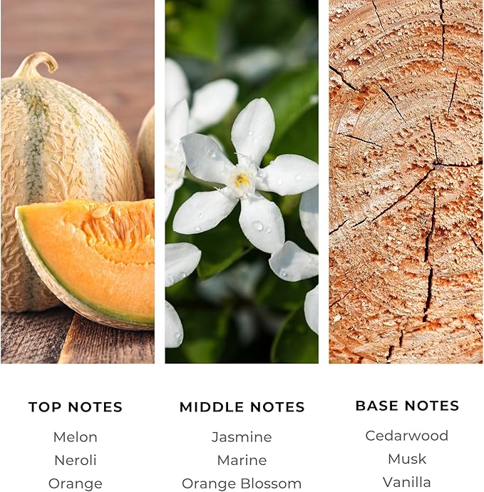 Brilliant Scents Atlantis Escape Fragrance Oil 200ml - Premium Diffuser Oil for Home, Office, Hotels - Long Lasting, Plant-Based, Meets IFRA Standards, USA-Made - Neroli, Orange Blossom, Vanilla