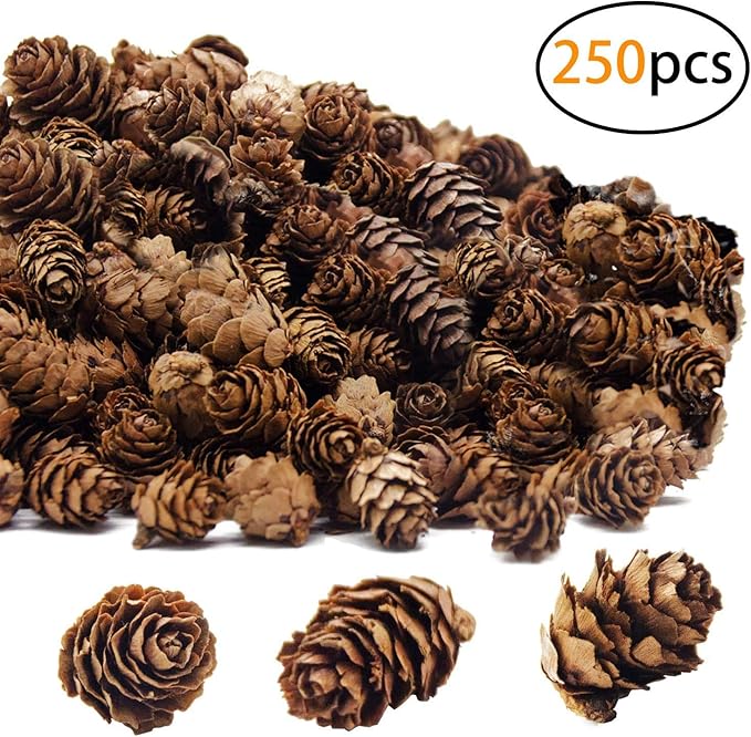 Deloky 250 PCS Christmas Natural Mini Pine Cones-Thanksgiving Pinecones Ornaments for DIY Crafts, Home Decorations,Fall and Christmas,Wedding Decor