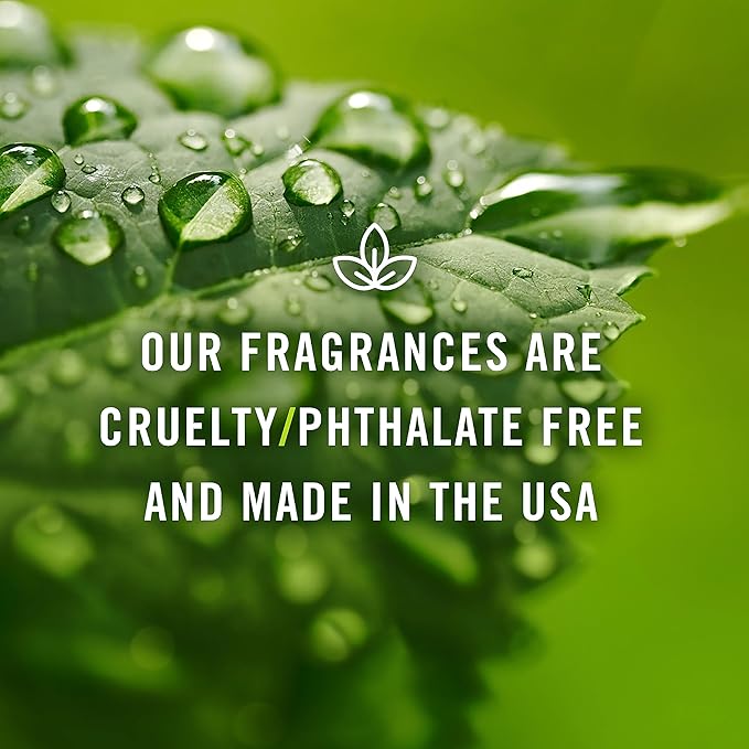 P&J Trading Fragrance | Red Cherry Oil 30ml - Candle Scents for Candle Making, Freshie Scent, Soap Making Supplies, Diffuser Oil Scents