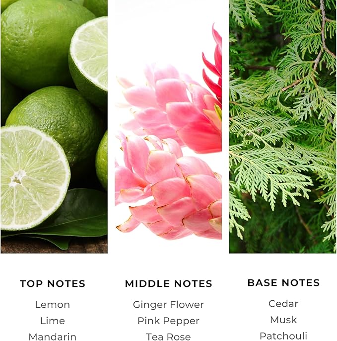 Brilliant Scents Golden Serenity Fragrance Oil 500ml - Premium Diffuser Oil for Home, Office, Hotels - Long Lasting, Plant-Based, Meets IFRA Standards, USA-Made - Mandarin, Tea Rose, Musk