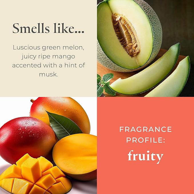 PartyLite Honeydew Scented, Notes of Green Melon, Juicy Ripe Mango and a Hint of Musk, 13.2oz 3-Wick Jar Candle, 45 Hour Burn Time, Luxurious Fragrance, Ideal for Gifting