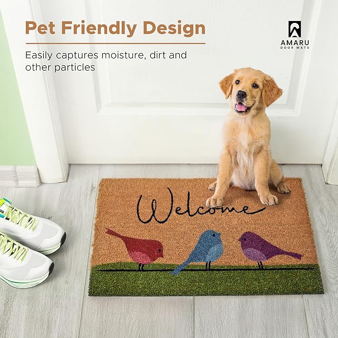Colorful Birds - 17"x29" - Coir Door Mat with Heavy Duty Backing - Welcome Mats for Entryway, Porch - Anti-Slip PVC & Coconut Fiber Surface - Natural Home Accessories, Minimalist Original Design