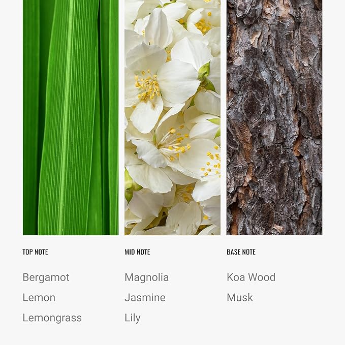 Hotel Collection Diffuser Oil - 24K Magic - Aromatherapy Essential Fragrance Oil - Citrus, Lemongrass, and Jasmine - 500mL 16.9 Fl oz