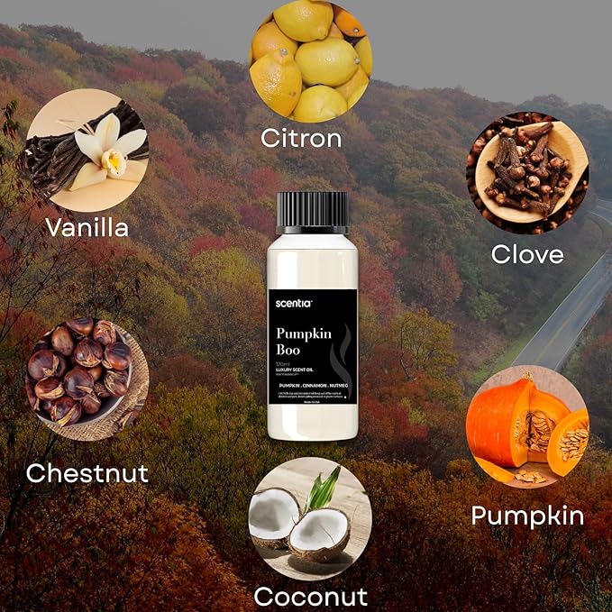 Pumpkin Boo Essential Oil – 120ml Premium Fall Fragrance Oil for Diffusers, Candles & DIY – Cozy Pumpkin Spice Scent for Home, Autumn Décor & Thanksgiving Gifts