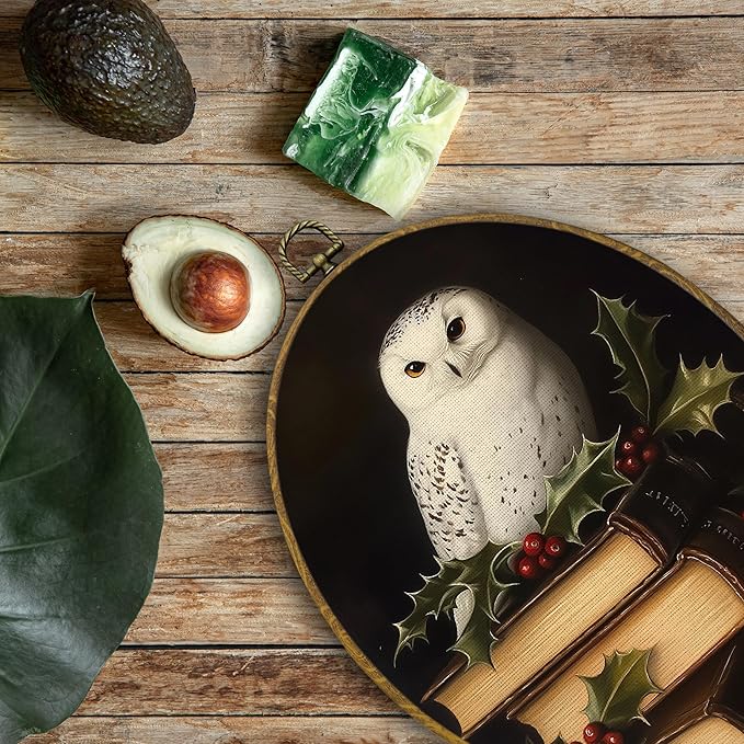 QZQE Christmas Owl Oval Wall Art Decor Framed, Bookish Dark Academia Oval Canvas Prints, Rustic Winter Decor, Gothic Xmas Festive Owl Wall Hanging Decor for Gallery Home Bedroom, 8.6x11.4 Inch