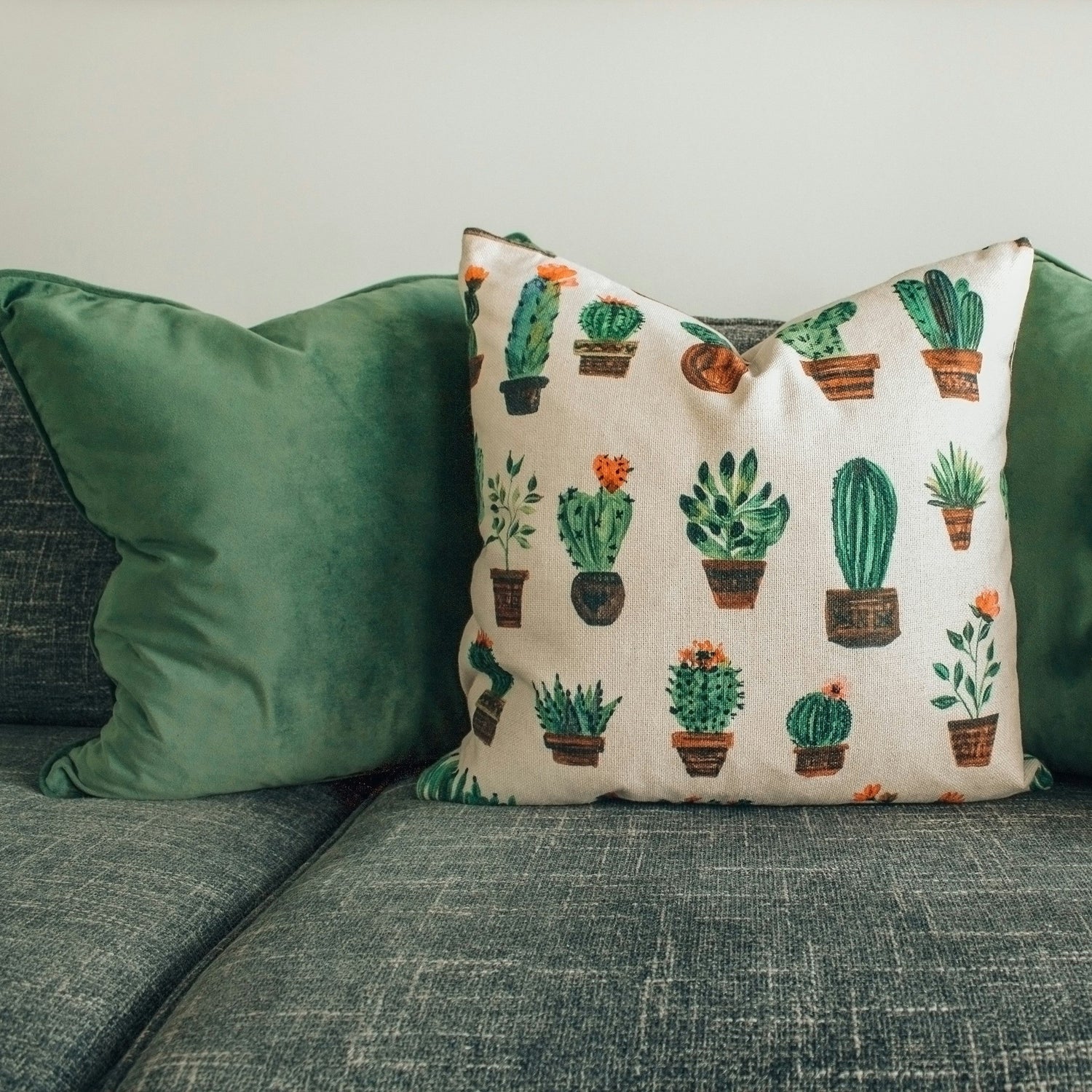 Decorative Cushions & Throws