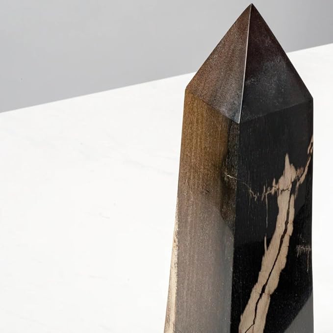 KALIFANO - 12" Black Petrified Wood Obelisk Point, Hand-Carved, Timeless, Unique, and Elegant Decor Accent, Office or Home Decor